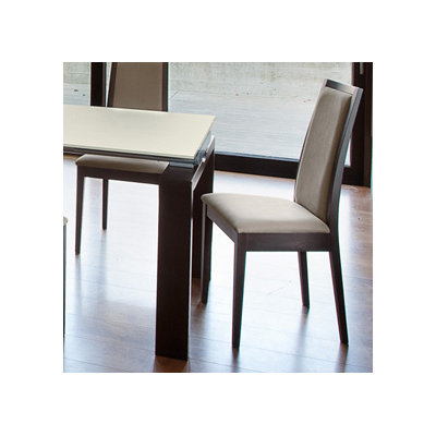 Topic Side Chair (Set of 2) Finish: Wenge, Upholstery: Beige