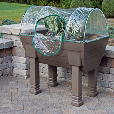 Garden Wizard 3.42 Ft. W x 2.1 Ft. D Mini Greenhouse Color: Oak Garden Wizard 3.42 Ft. W x 2.1 Ft. D Mini Greenhouse Color: Oak