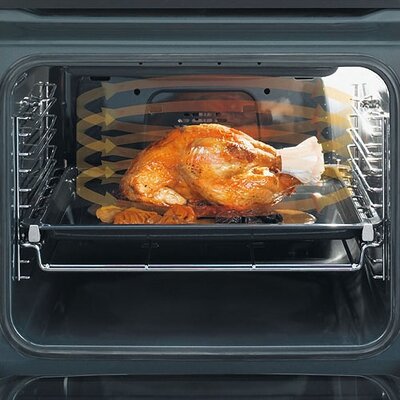 24 Single Electric Wall Oven image