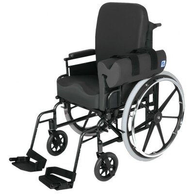 Wheelchair Trunk Support image