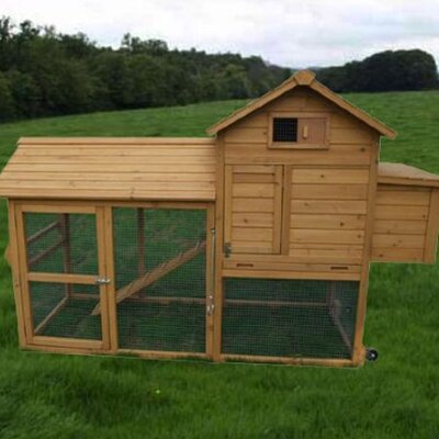  chickens with this aosom deluxe portable backyard chicken coop with