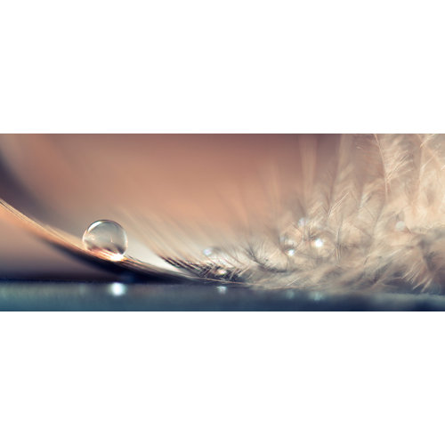 Bilder online kaufen | Möbel-Suchmaschine | ladendirekt.de