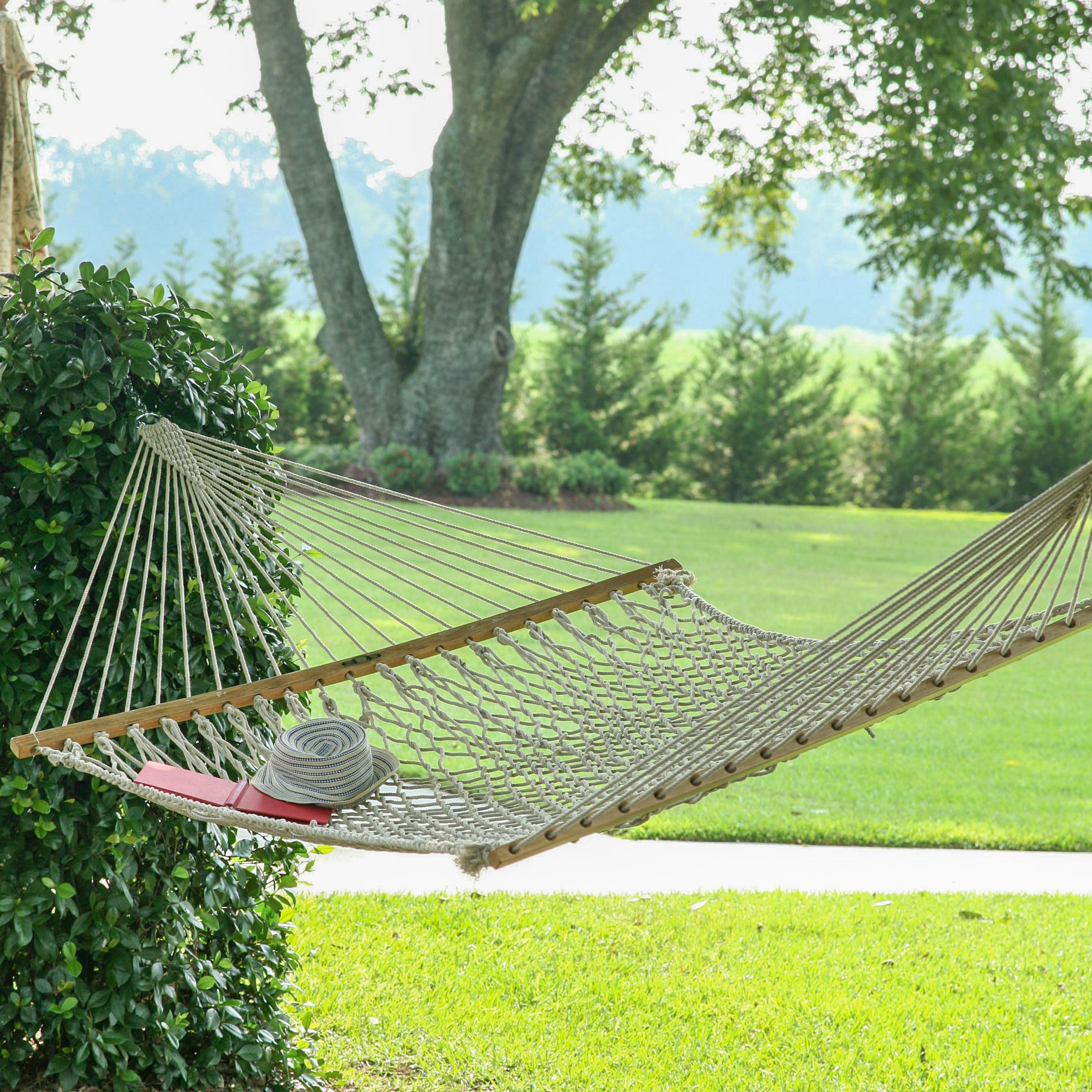 Edler Cotton Rope Tree Hammock Size: Large