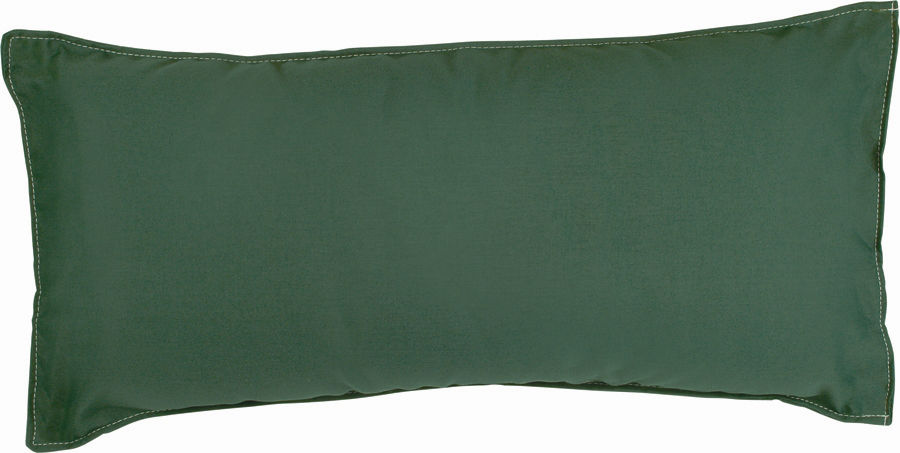 Eckart Large Hammock Pillow Color: Green
