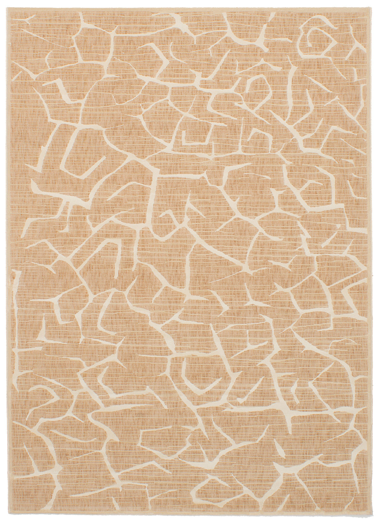 Raftery Tan Area Rug Rug Size: Rectangle 5'5