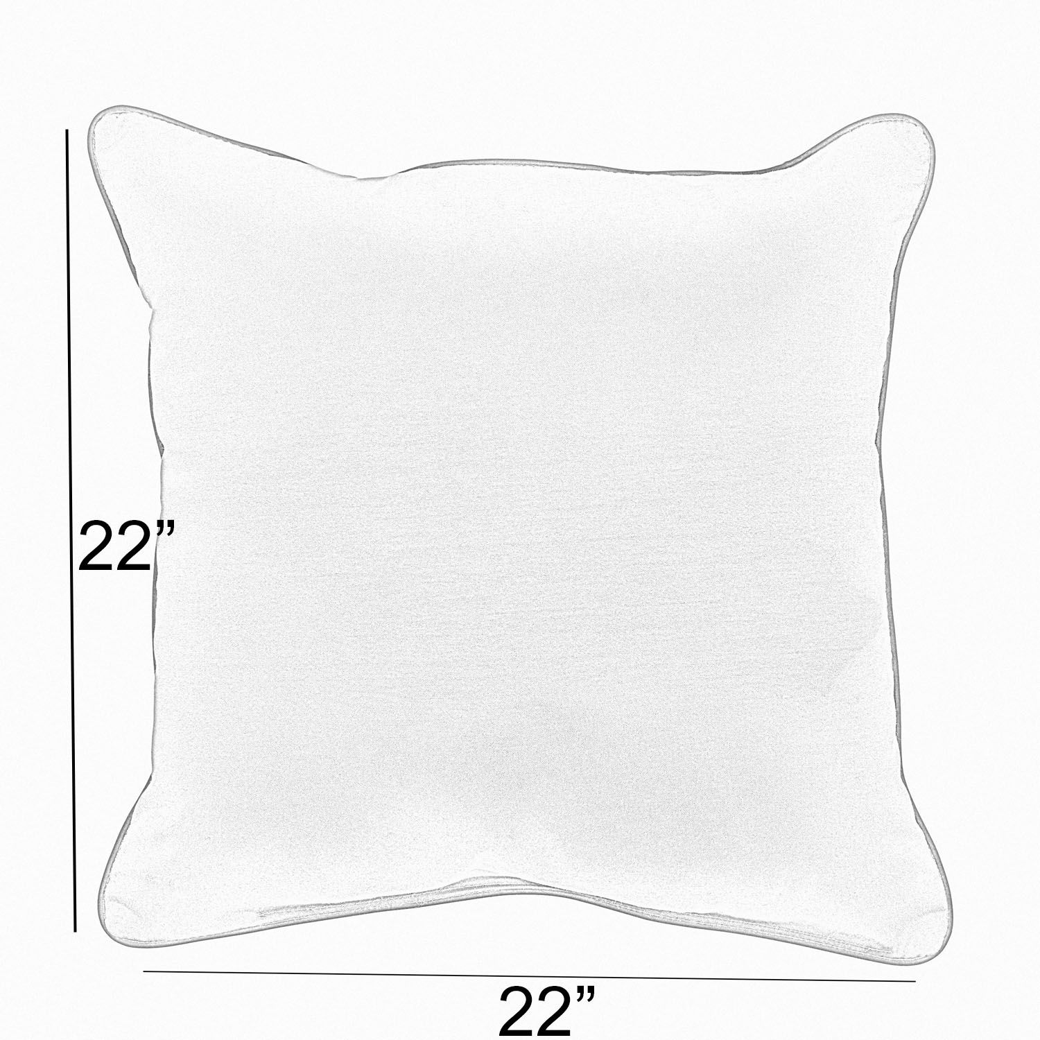 Duneane Indoor/Outdoor Throw Pillow Size: 22