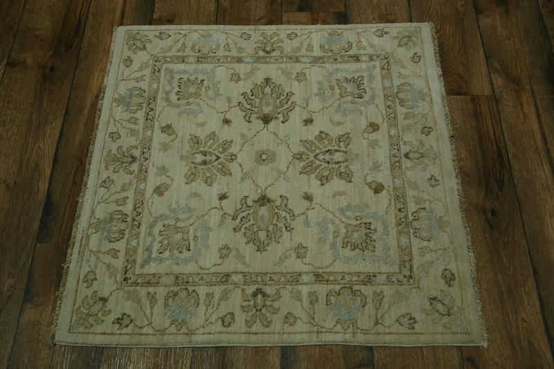 Area Rugs Shugart Sealife Multi Color Rug March 2019