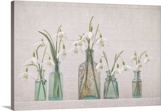 'Snowdrops Bottles' by Cora Niele Photographic Print