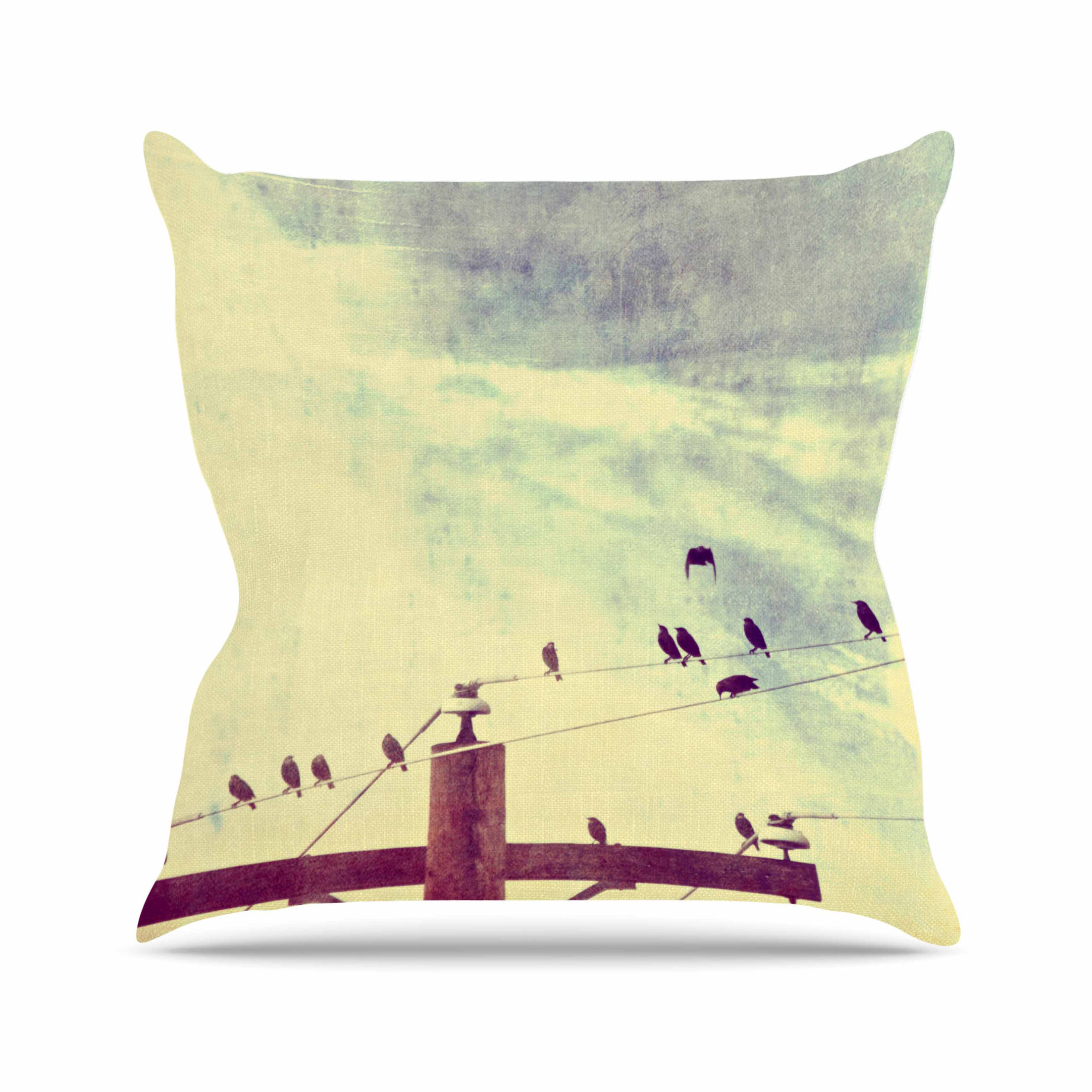 Sylvia Coomes Vintage Birds on a Wire 1 Vintage Outdoor Throw Pillow Size:  16