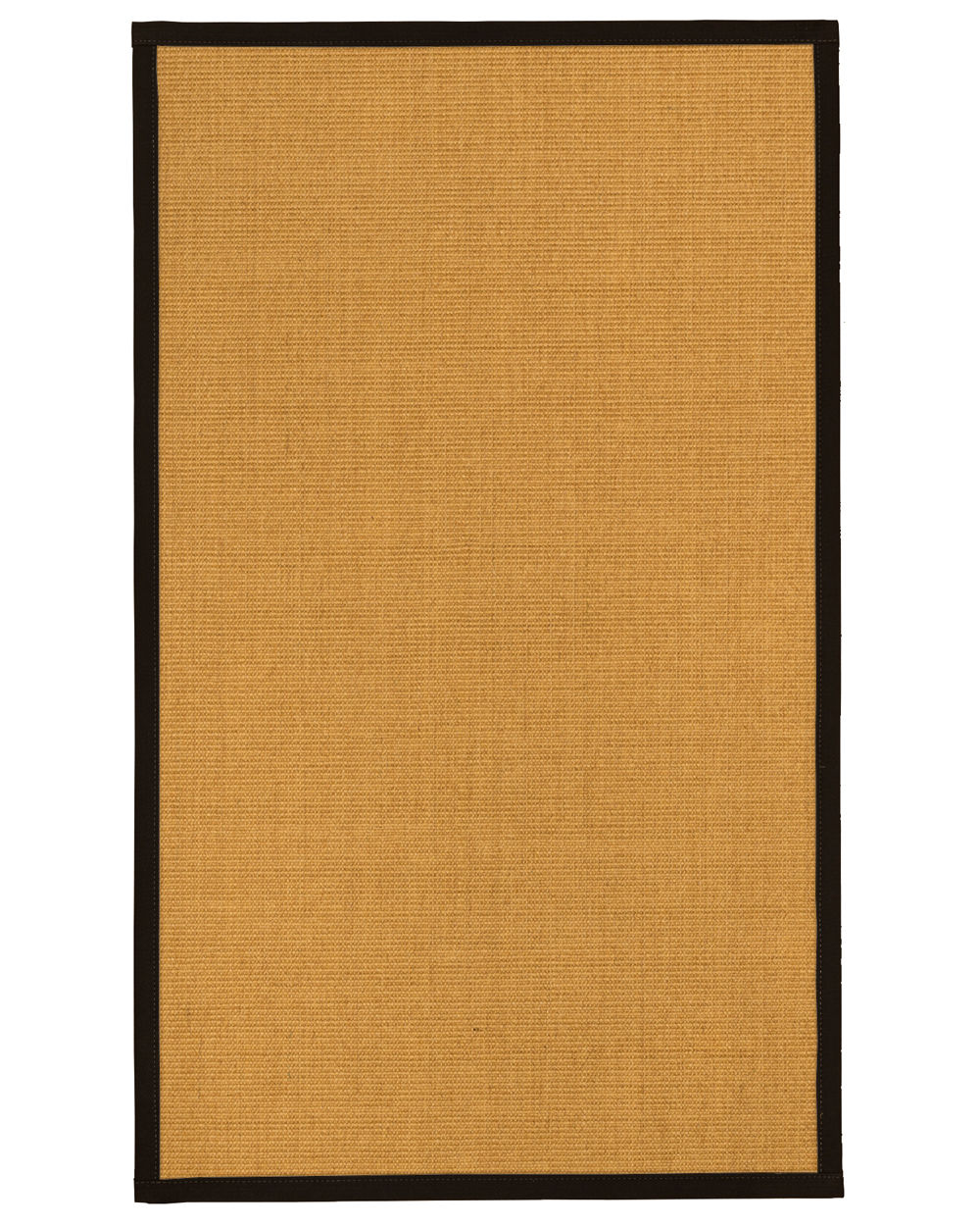 Asia Natural Fiber Sisal Plus Bonus Hand-Woven Beige Area Rug Rug Size: Rectangle 5' x 8'