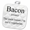 Bacon Noun The Reason I'm Not a Vegetarian Pot Holder