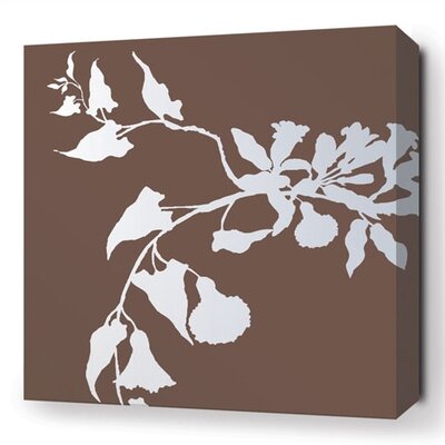 Inhabit Soak Morning Glory Stretched Graphic Art on Canvas in Chocolate MGC S