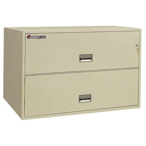 SentrySafe 1 Hr Fireproof Key Lock 2 Drawer Letter File Safe 2L4300XX Color 