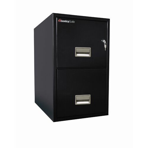 SentrySafe 1 Hr Fireproof Key Lock 2 Drawer Letter File Safe 2G2531XX Color 